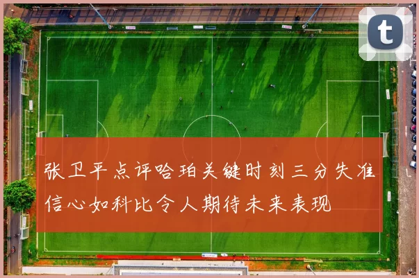 张卫平点评哈珀关键时刻三分失准信心如科比令人期待未来表现
