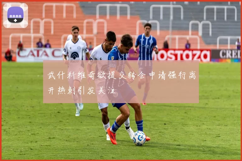 武什科维奇欲提交转会申请强行离开热刺引发关注