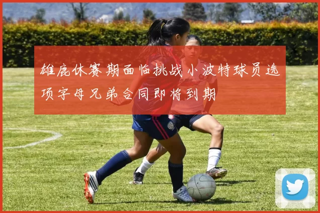 雄鹿休赛期面临挑战小波特球员选项字母兄弟合同即将到期
