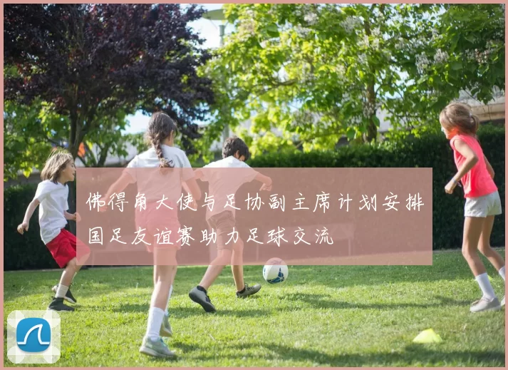 佛得角大使与足协副主席计划安排国足友谊赛助力足球交流